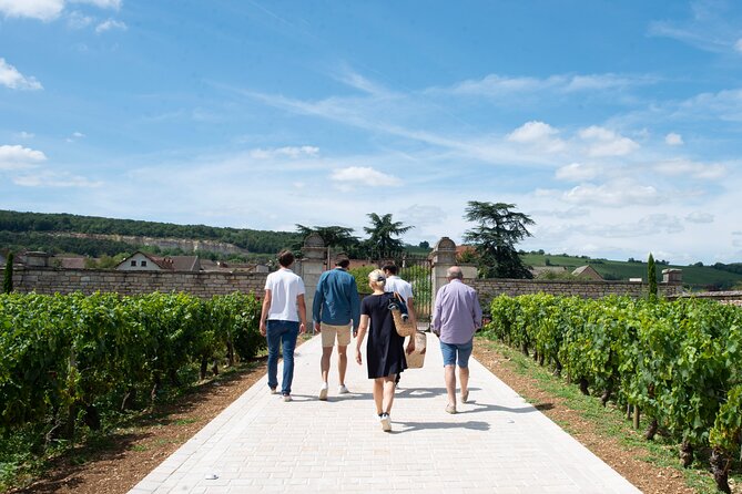 Full Day From Beaune: the Most of Burgundy, With Lunch - Itinerary Overview