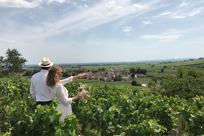 Full Day From Beaune: the Most of Burgundy, With Lunch - Wine Tasting Sessions