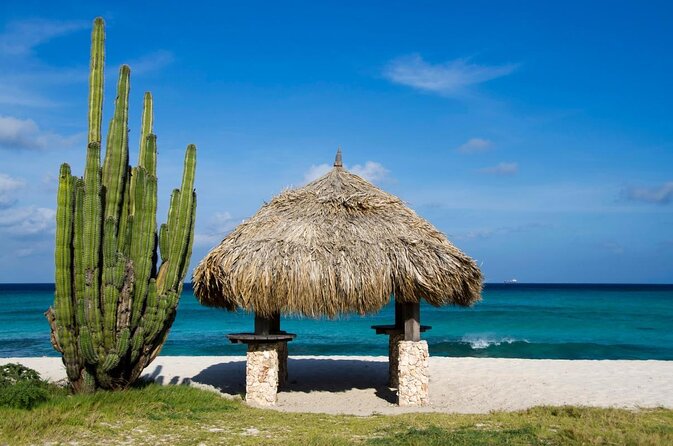 Full-Day Fully Private Boat Tours in Aruba With Nos Isla - Overview and Inclusions