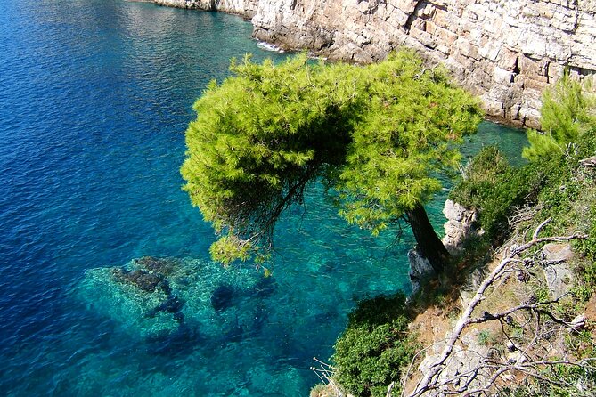 Full-Day Fun Cruise of Dubrovnik Islands With Lunch - Cancellation Policy