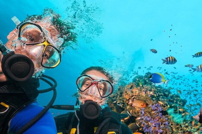 Full Day Fun Diving at Tulamben All inclusive - Good To Know