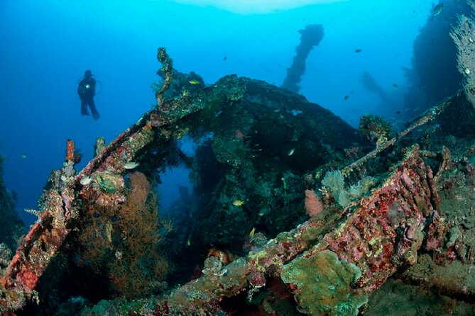 Full Day Fun Diving at Tulamben All Inclusive - Equipment Provided