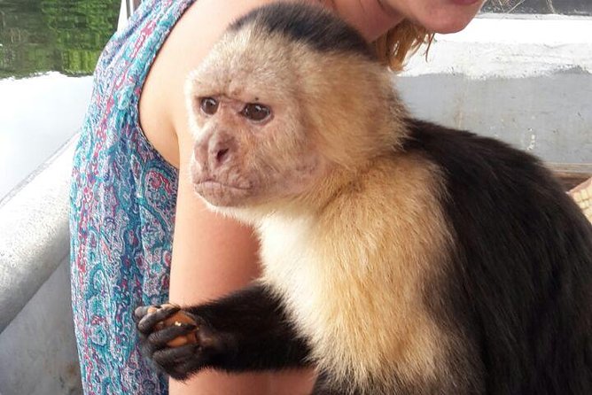 Full-Day Gatun Lake and Indian Village Tour From Panama City - Tour Overview and Logistics
