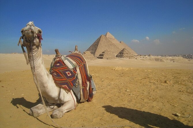 Full-Day Giza Plateau and Sakkara Tour From Cairo Including Camel Ride - Price Details