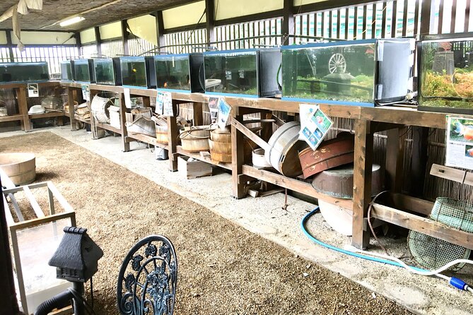 フルデイ金魚ユニーク体験 in 大和郡山、奈良 - Terms and Conditions