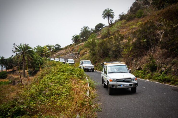 Full-Day Gomera Jeep Safari Excursion From Arona - Activity Details