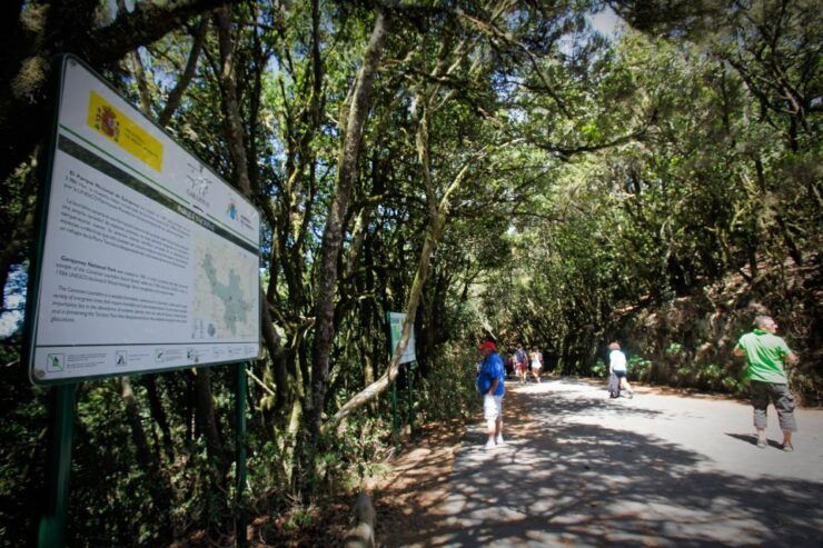 Full-Day Gomera Jeep Safari Excursion From Arona - Experience Highlights
