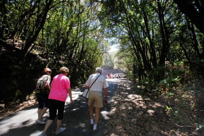 Full-Day Gomera Jeep Safari Excursion From Arona - Review Summary