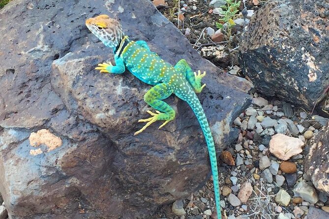 Full-day Grand Canyon, Indian Ruins & Volcano Christian Adventure - Booking and Contact Details
