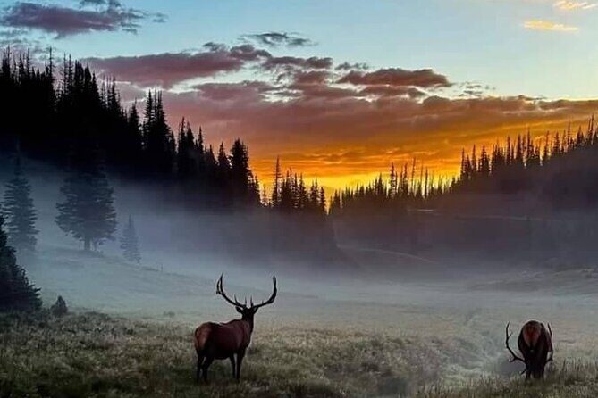 Full Day "Grand Tour" Private Chauffeured Customized Experience - Authentic Experiences and Insights from Reviews