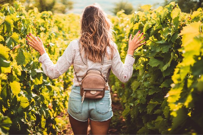 Full Day Grape Escape to Alsace Wine Route via Strassbourg - Exploring the Charm of Strasbourg