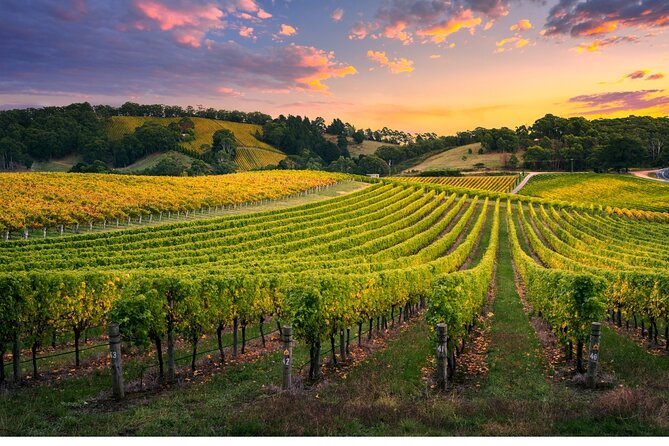 Full Day Grape Escape to Alsace Wine Route via Strassbourg - Taking in Alsaces Rich History and Culture