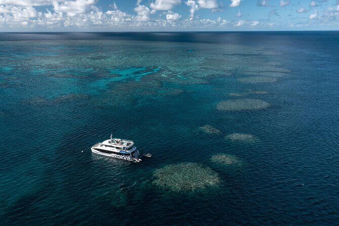 Full-Day Great Barrier Reef Snorkeling from Hamilton Island - Good To Know