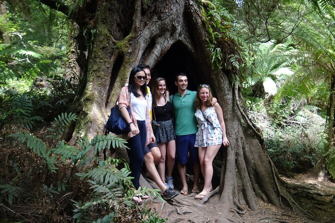 Full-Day Great Ocean Road and 12 Apostles Tour - Start and End Time