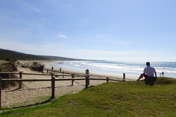 Full-Day Great Ocean Road and 12 Apostles Tour - Positive and Negative Traveler Reviews