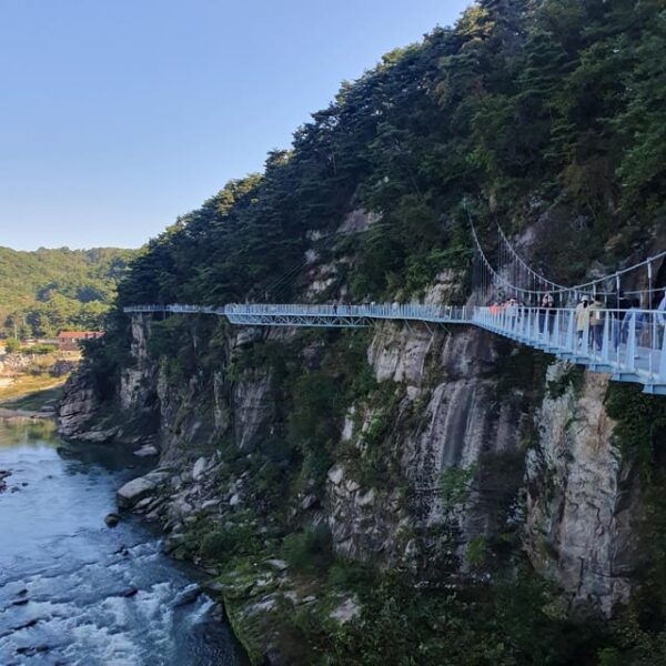 Full-Day Gripping Exploration In Cheorwon, Unesco GEOPark - Exclusion Details