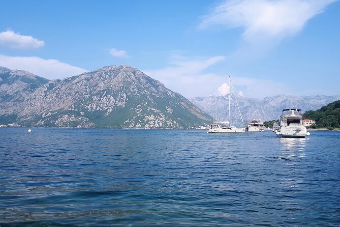 Full-Day Group Tour of Montenegro Coast From Dubrovnik - Important Information for Travelers