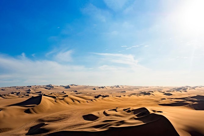Full Day Group Tour Paracas and Ica From Lima - Reviews and Ratings