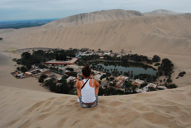 Full Day Group Tour Paracas and Ica From Lima - The Sum Up