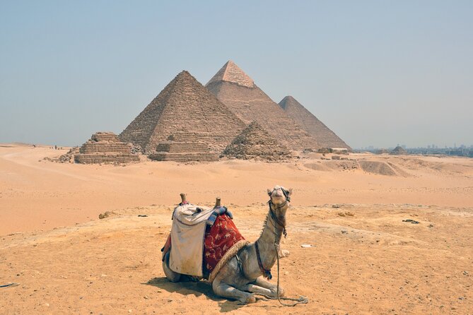 Full Day Guided Bus Tour To Cairo From Soma Bay - Itinerary Highlights