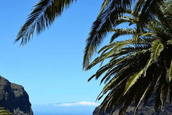 Full-day Guided Bus Tour to Mt. Teide and the Towns of Icod, Garachico, Masca - The Sum Up