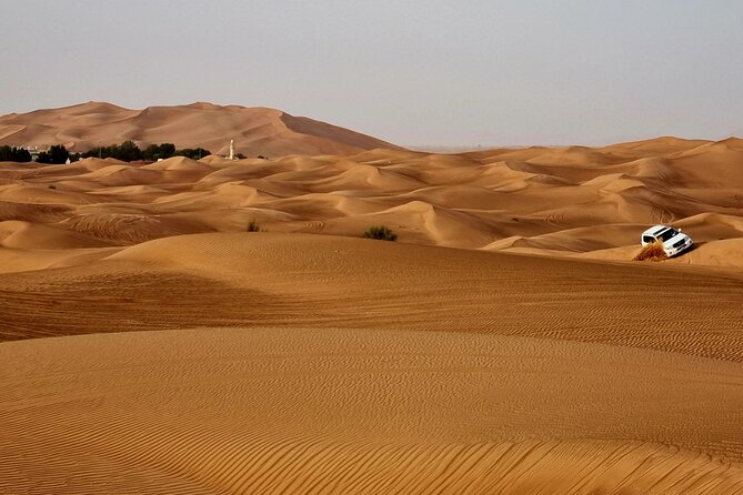 Full Day Guided Dubai City Tour and Desert Safari - Safety and Guidelines