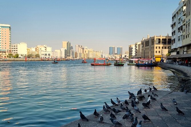 Full Day Guided Dubai City Tour and Desert Safari - Customer Reviews and Testimonials