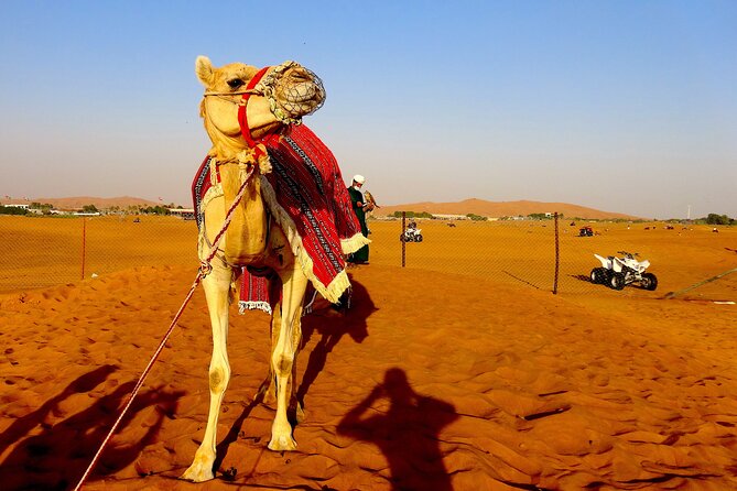Full-Day Guided Evening Desert Safari Tour in Dubai - Provider and Booking Details