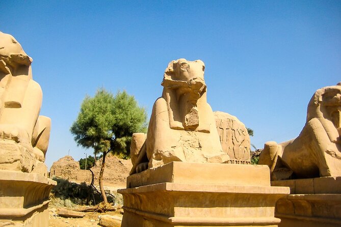 Full Day Guided Group Bus Tour To Luxor From Soma Bay - Pickup Details