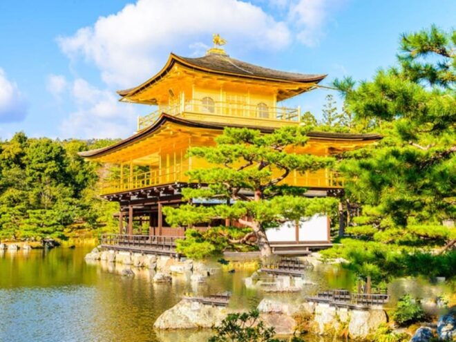 Full Day Guided Kyoto Cultural Tour - Tour Features
