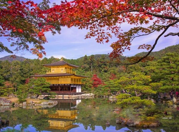 Full Day Guided Kyoto Cultural Tour - What to Bring