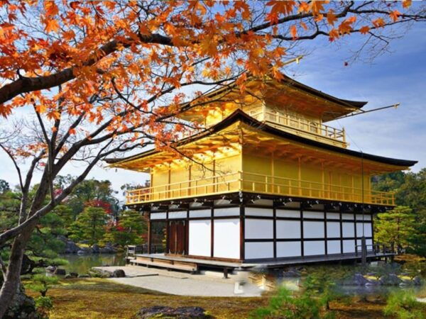 Full Day Guided Kyoto Cultural Tour - Booking Details