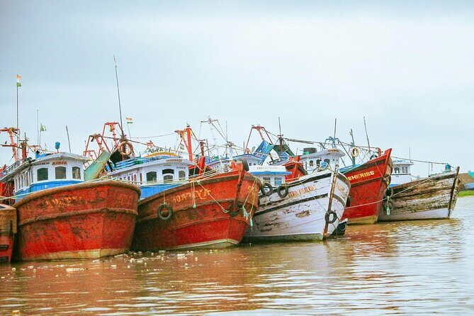 Full Day Guided Mangalore Private Tour with Lunch - Overview of the Tour Experience