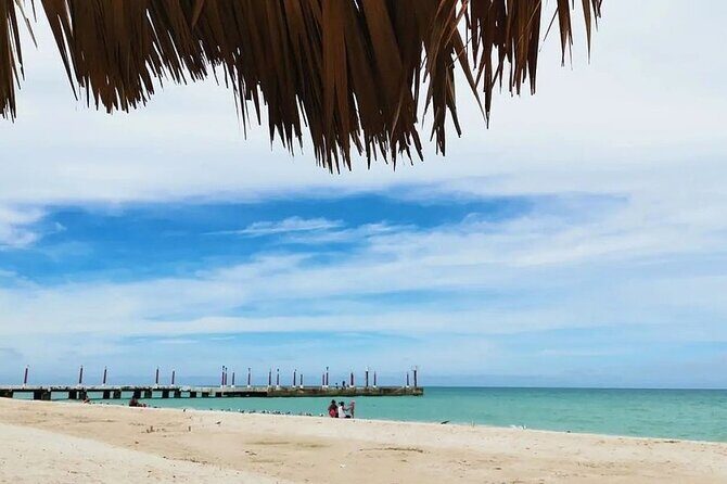 Full Day Guided Mangrove Bote Ride & Sisal Beach Time - FAQs