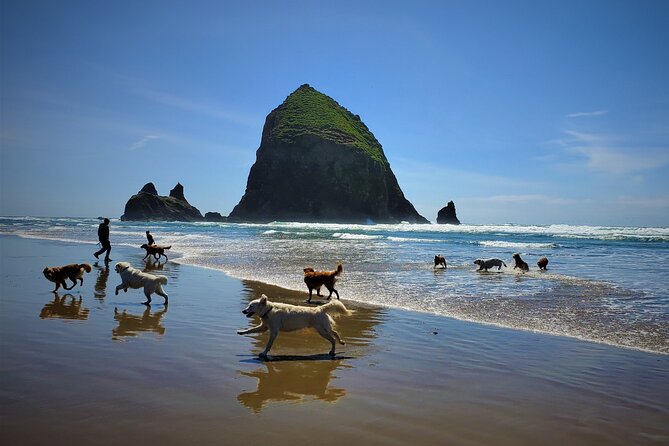 Full-Day Guided Oregon Coast Tour From Portland - Itinerary and Stops