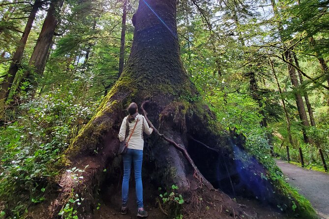 Full-Day Guided Oregon Coast Tour From Portland - Positive Reviews and Testimonials