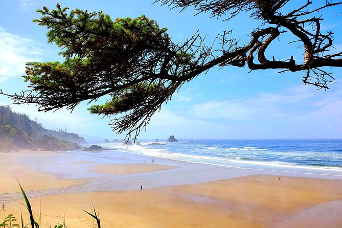 Full-Day Guided Oregon Coast Tour From Portland - Customer Recommendations