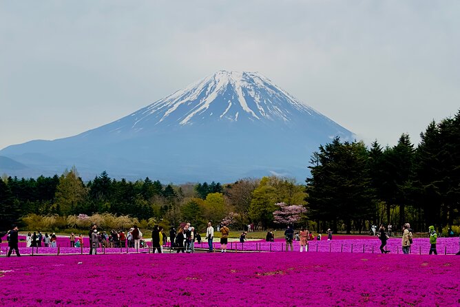 Full-Day Guided Private Tour in Mountain Fuji - Date and Travelers