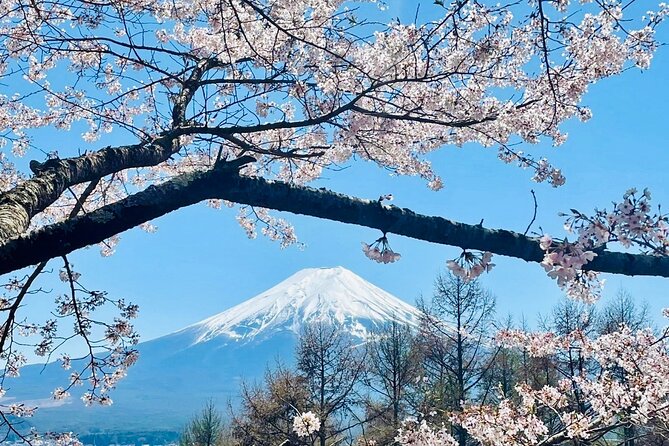 Full-Day Guided Private Tour in Mountain Fuji - Overview