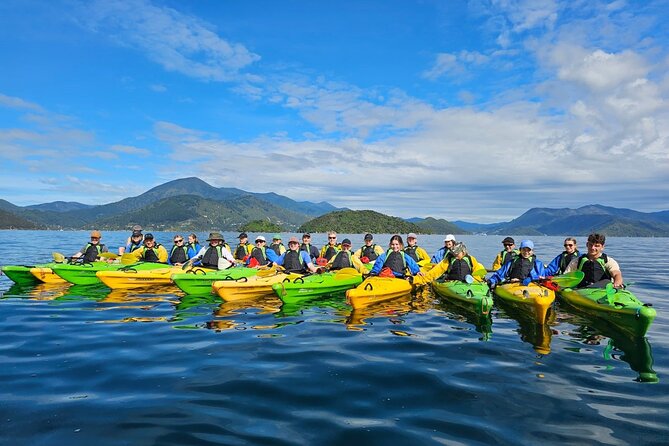 Full Day Guided Sea Kayak Tour From Picton - Additional Information