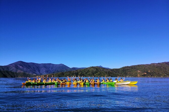 Full Day Guided Sea Kayak Tour From Picton - Reviews