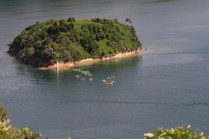 Full Day Guided Sea Kayak Tour From Picton - Departure Details