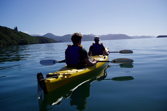 Full Day Guided Sea Kayak Tour From Picton - Safety Guidelines