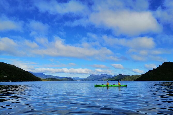 Full Day Guided Sea Kayak Tour From Picton - What to Bring
