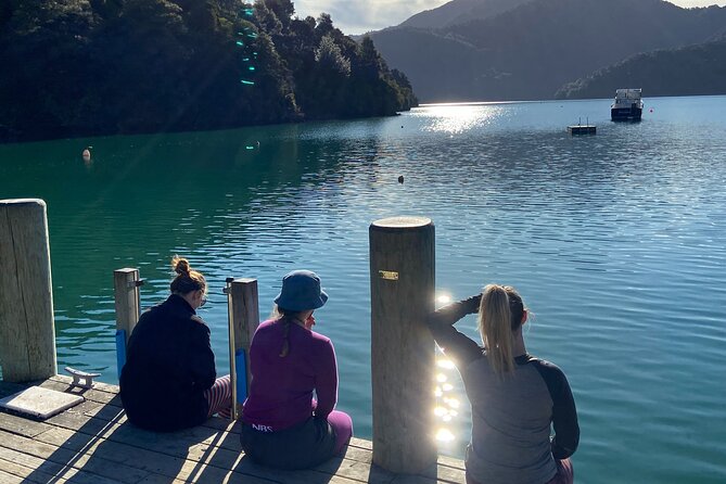 Full-Day Guided Sea Kayak Trip From Picton - Guided Tour From Picton