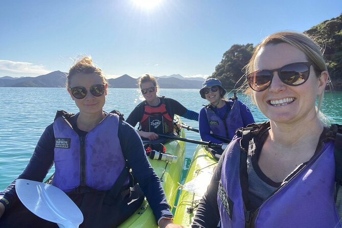Full-Day Guided Sea Kayak Trip From Picton - Morning Tea at a Remote Beach
