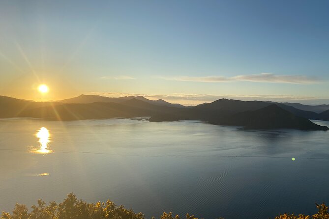 Full-Day Guided Sea Kayak Trip From Picton - Lunch in a Tranquil Bay