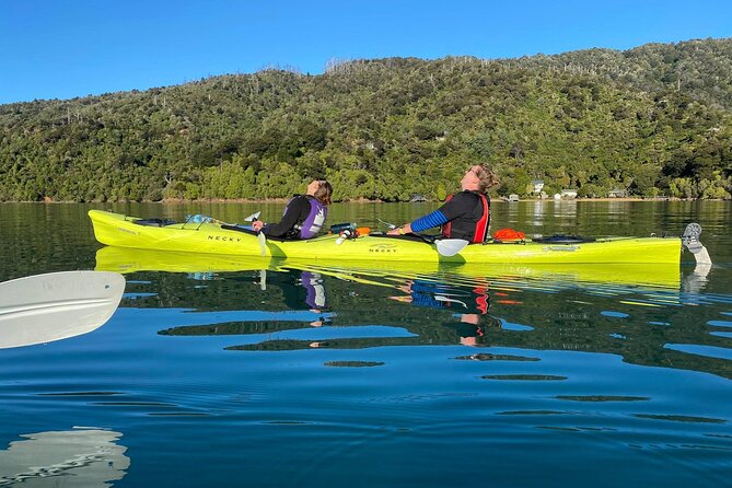 Full-Day Guided Sea Kayak Trip From Picton - Activity Starts at 08:15 AM