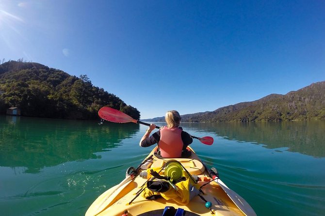 Full-Day Guided Sea Kayaking Trip From Anakiwa - Tour Details
