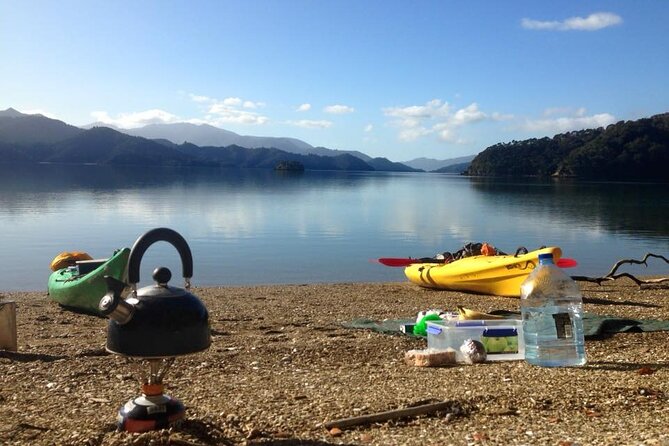 Full-Day Guided Sea Kayaking Trip From Anakiwa - Common Questions
